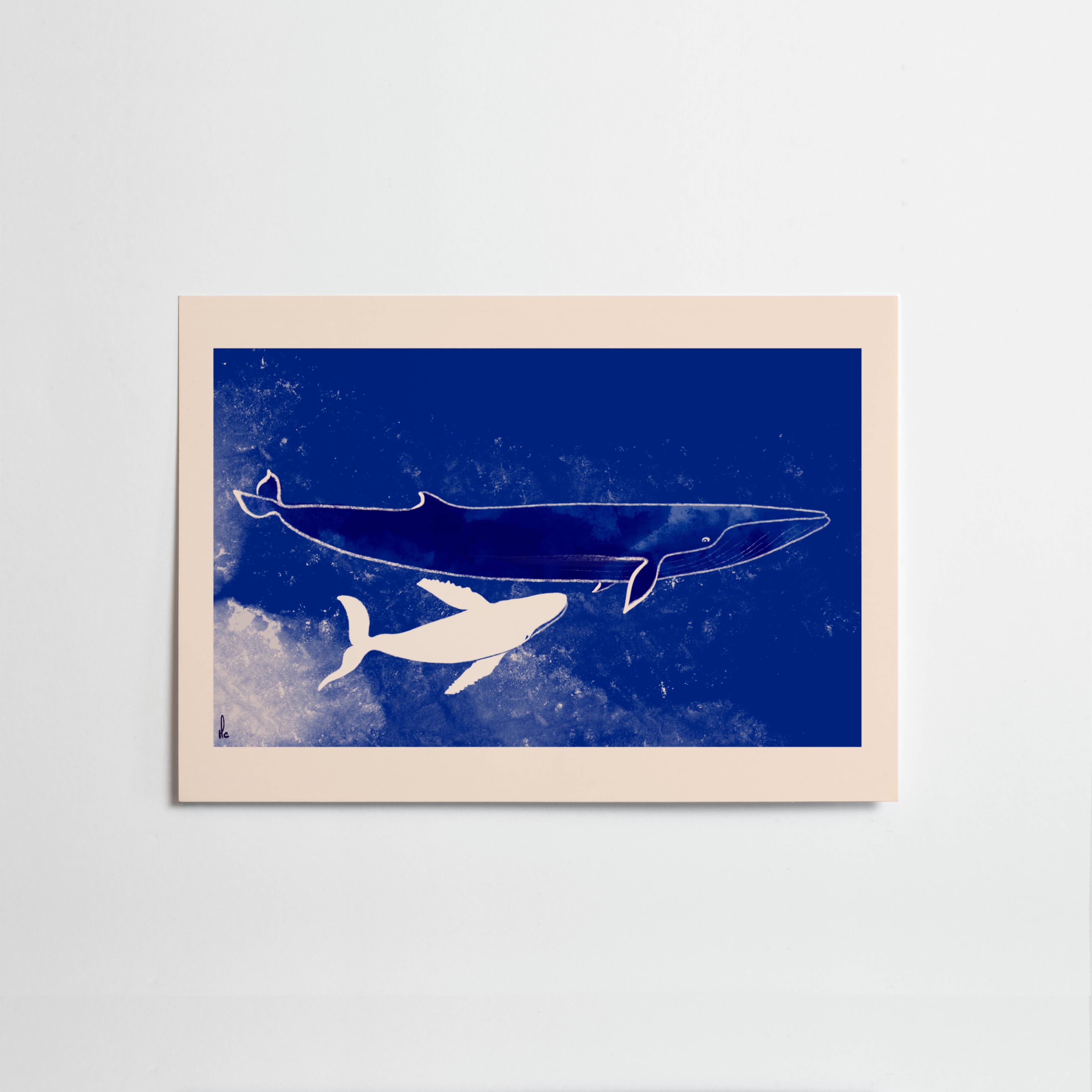 Baleines Bleu — illustration de Margaux Cortier